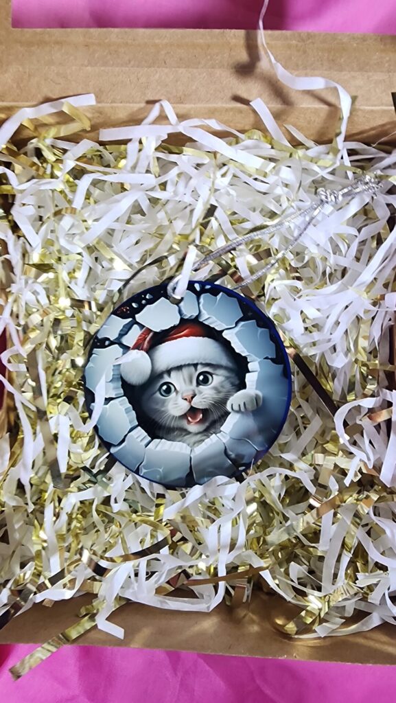 Santa’s Surprise Kitty Sublimated Ornament
