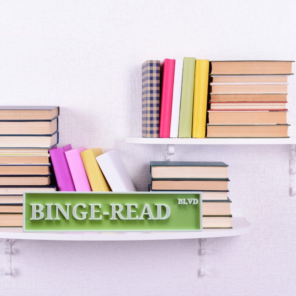Binge-Read Blvd 3D-Printed Street Sign – Fantasy & Dark Romance Bookshelf Decor