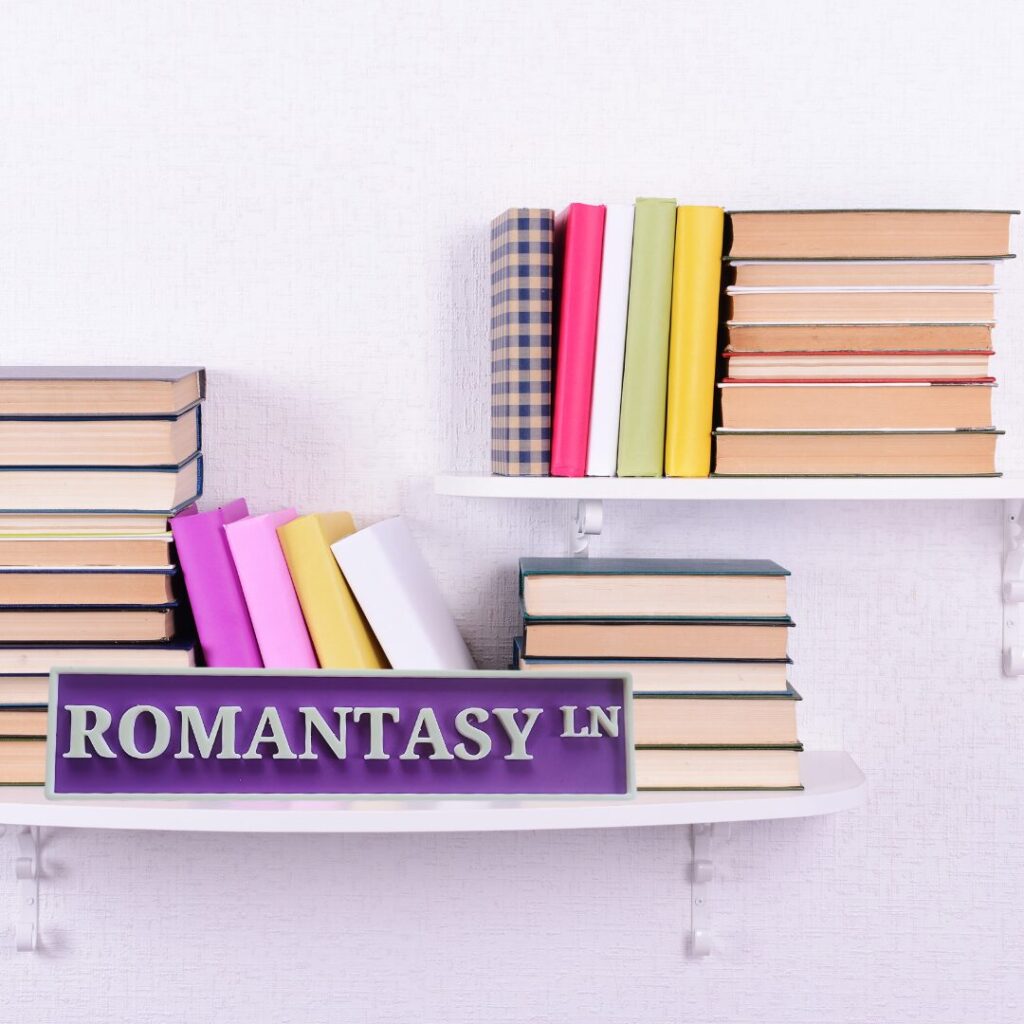 Romantasy Lane 3D-Printed Bookshelf Sign – Fantasy Romance Book Nook Decor