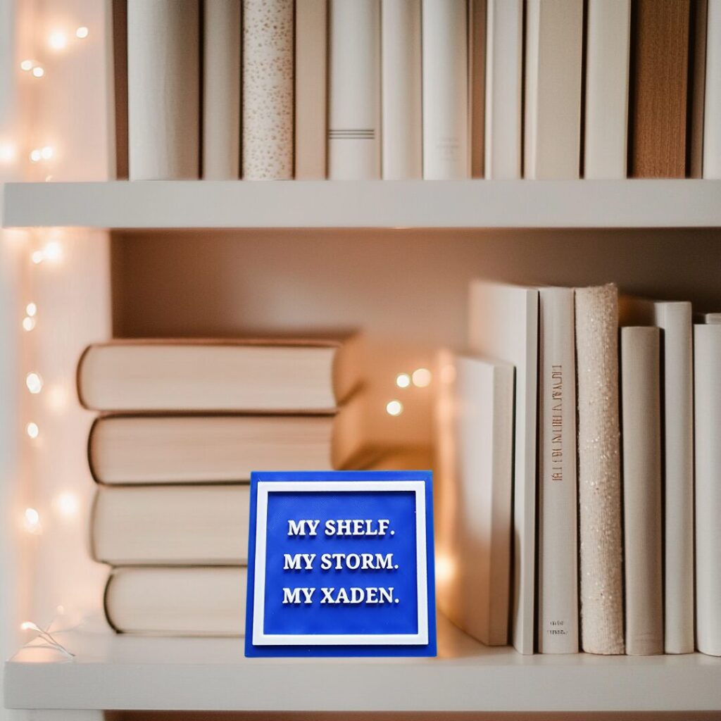 My Shelf, My Storm, My Xaden - Bookshelf Sign Fourth Wing - Xaden Riorson Book Nook Decor - Fantasy Romance Gift - Bookish Aesthetic Room Decor - 3D Printed Shelf Sign